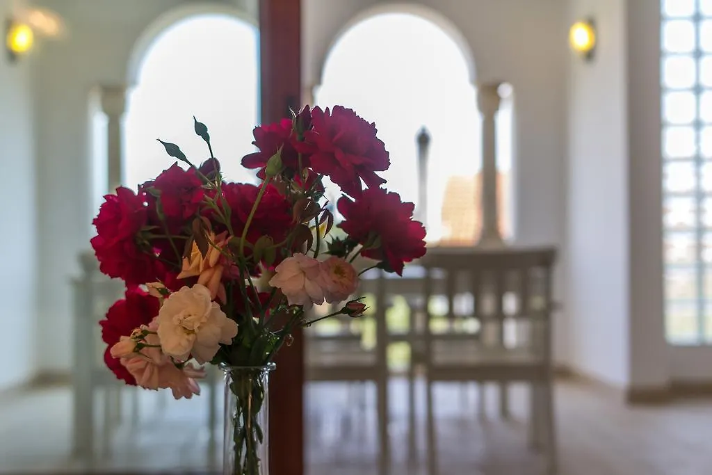 Villa Alma بيت ضيافة Veli Lošinj