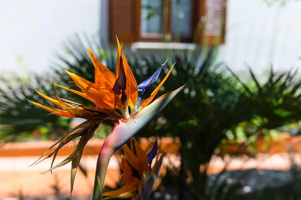 Villa Alma Veli Lošinj